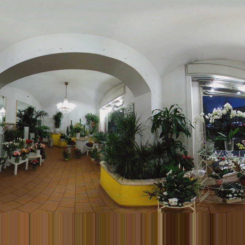 L'interno del negozio con piante verdi e fiori